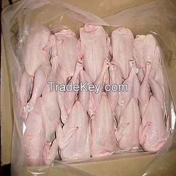 Halal Frozen Whole Chicken and Chicken parts