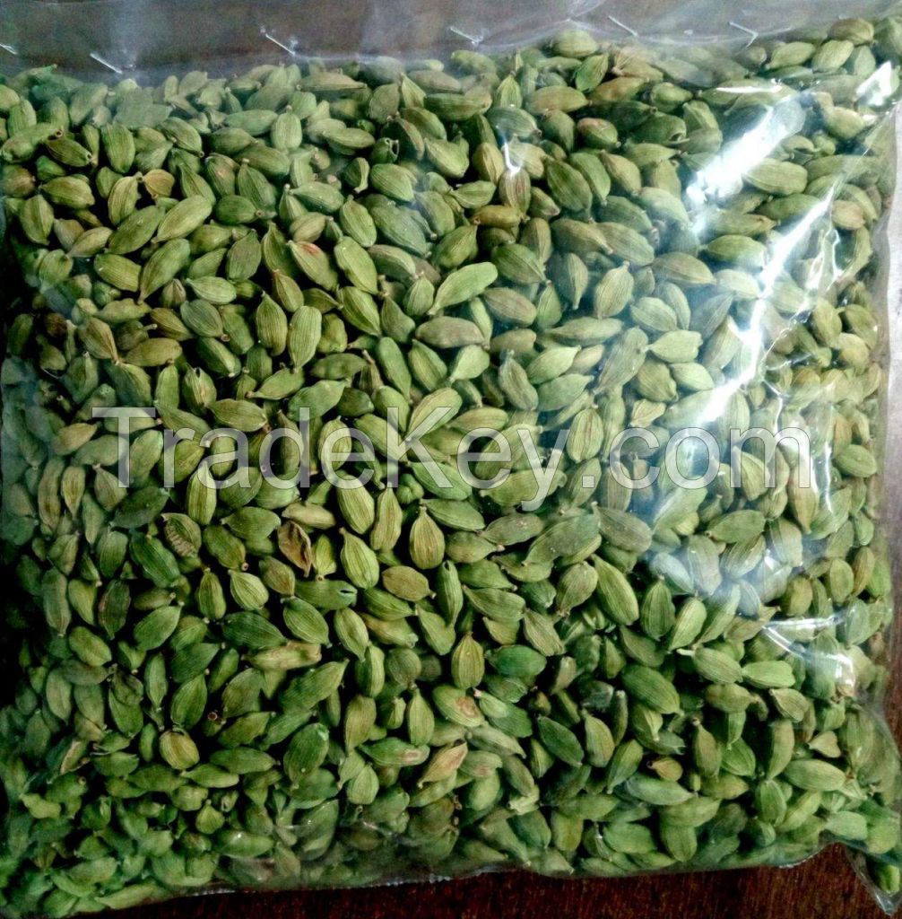 Wholesale export pumpkin seeds