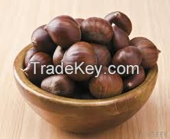 Organic Raw Fresh Chestnut Chinese bulk chestnuts price