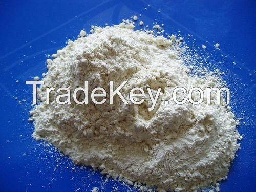 Garlic Spray Dried Powder