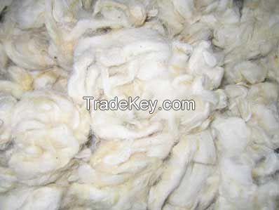 Raw Wool, Merino Wool, Greasy Wool