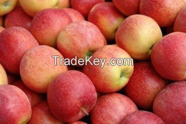 Pink Lady Apples