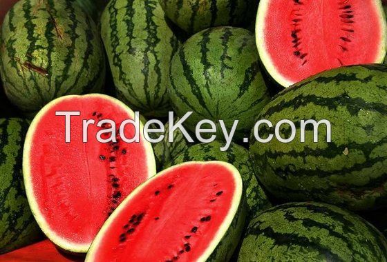 Fresh Sweet Watermelons From South Africa