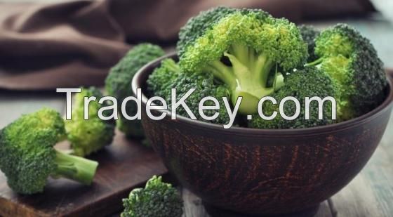 Best Price and Quality Fresh Broccoli for Sale