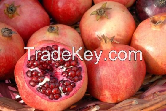 Fresh Pomegranates