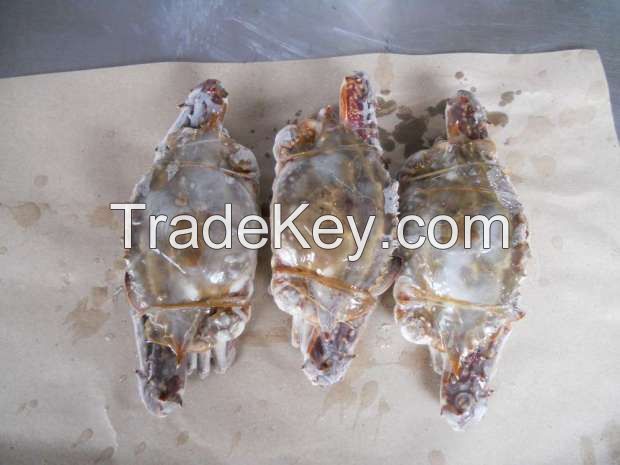 Frozen Blue Swimming Crab