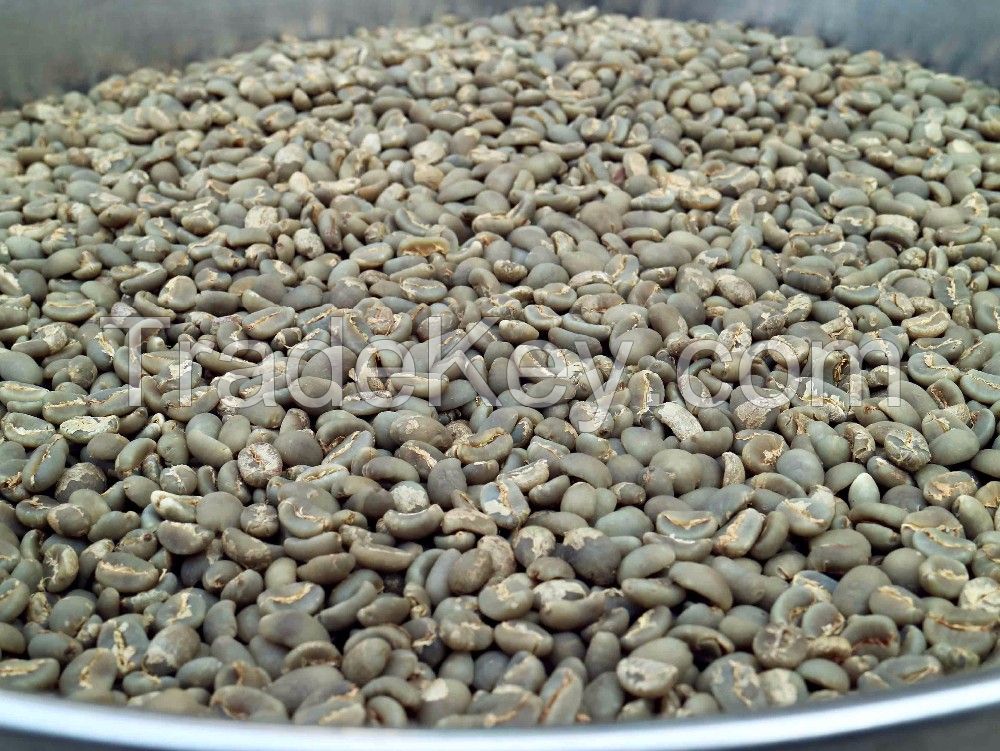 Robusta Green Coffee Bean Grade A  2018 New