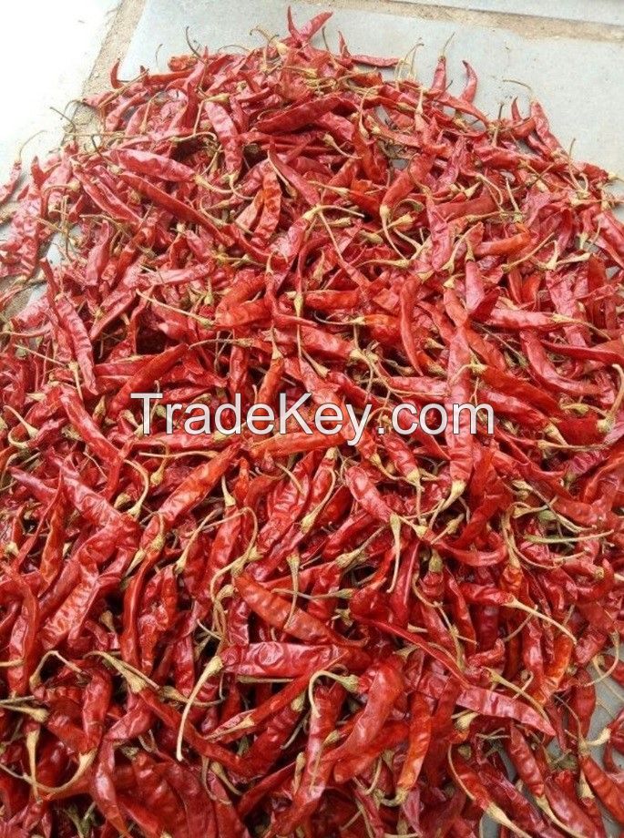 Teja Red Dry Chilli