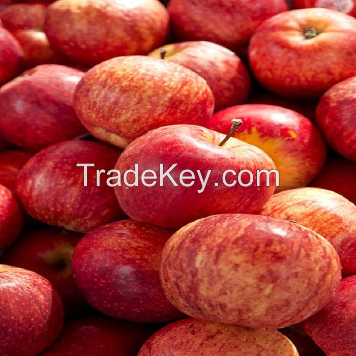 Red Delicious Gala Apples