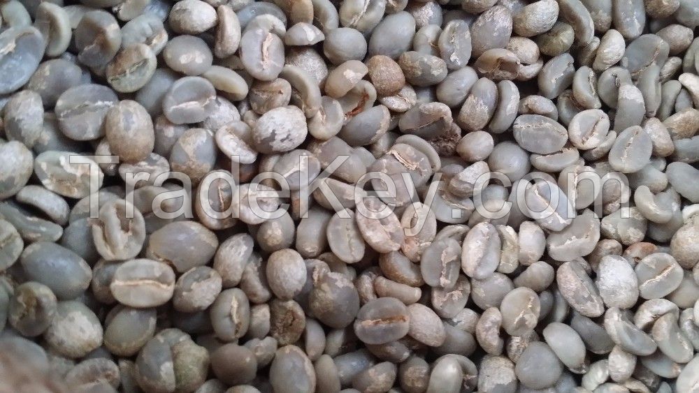 Arabica Coffee Bean