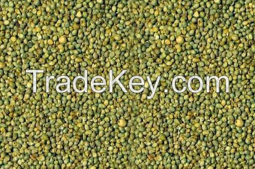 Green Millet