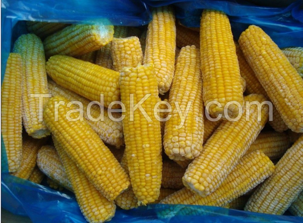 frozen fresh super sweet corn