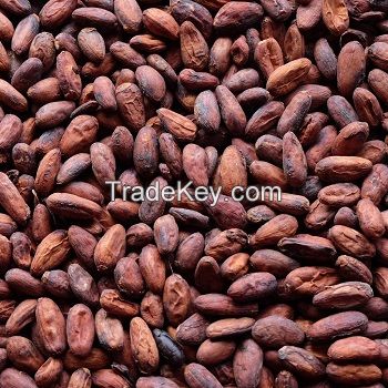 Cocoa Beans