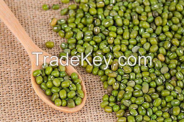 MUNG BEANS