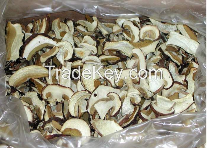 dried mushrooms boletus