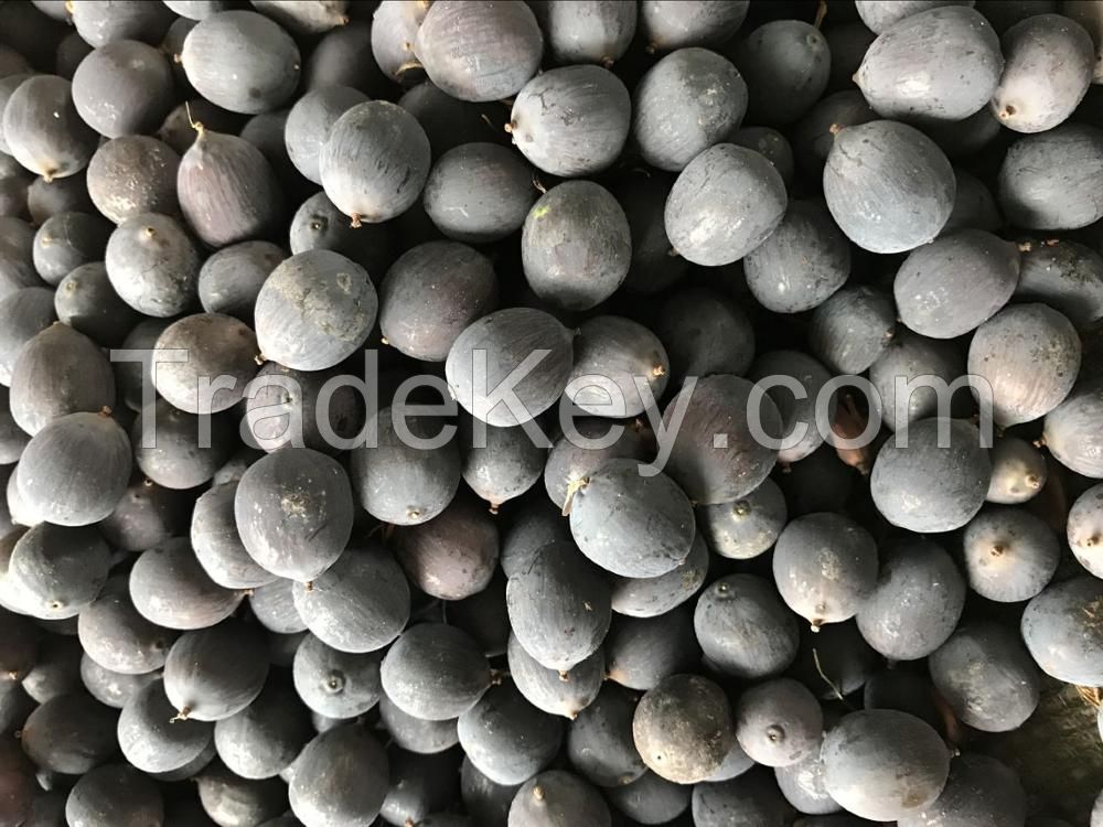 Flower Seeds