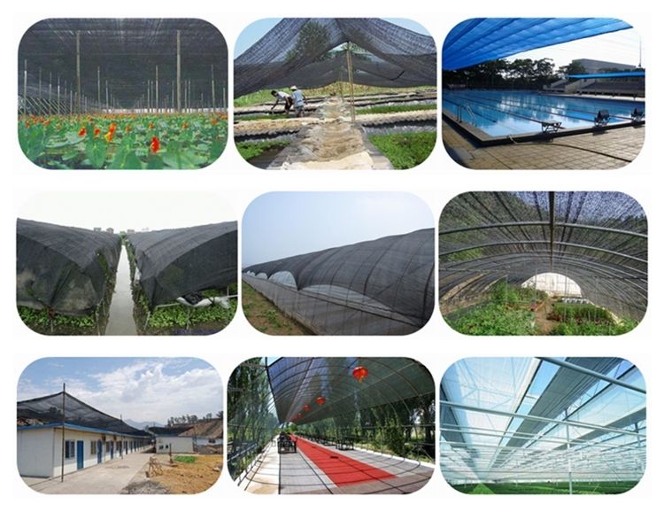 best quality agriculture shade netting