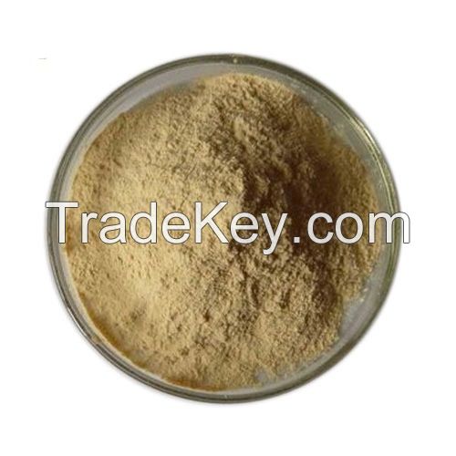 Food Grade Lipase Enzyme Powder