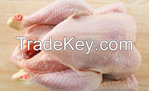 Halal Whole Frozen Chicken/ Frozen Chicken Feet Frozen Chicken Paws  Frozen Chicken Wings Frozen Chicken Leg Quarters