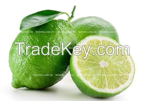 Sell fresh seedless lime