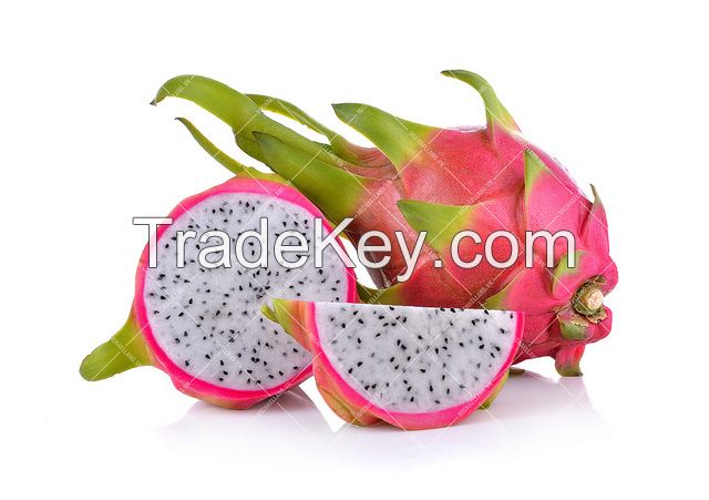 Sell Fresh Dragon Fruit