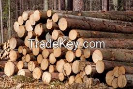 sell Logs