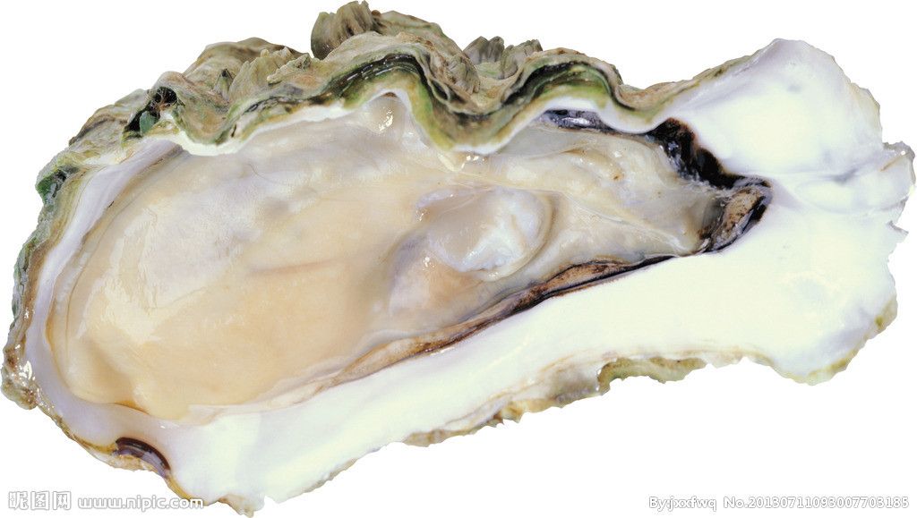 Oyster Extract