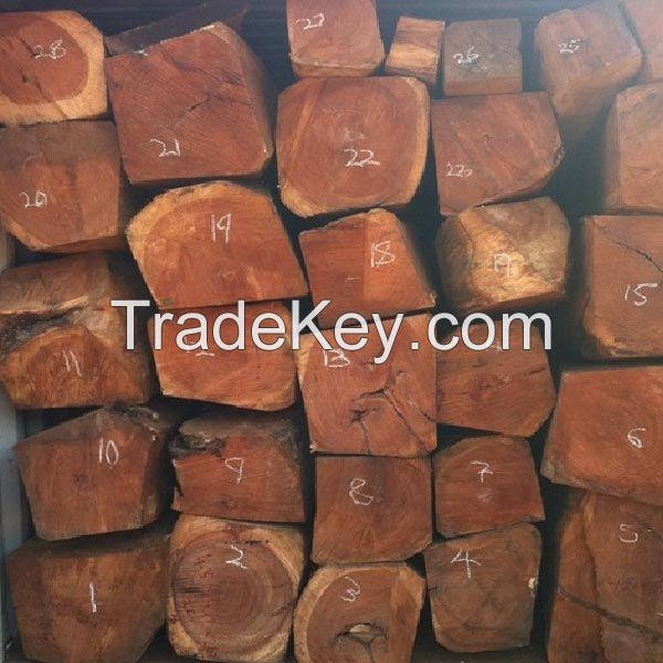 TIMBER LOGS AND WOOD