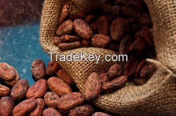 Cocoa Beans