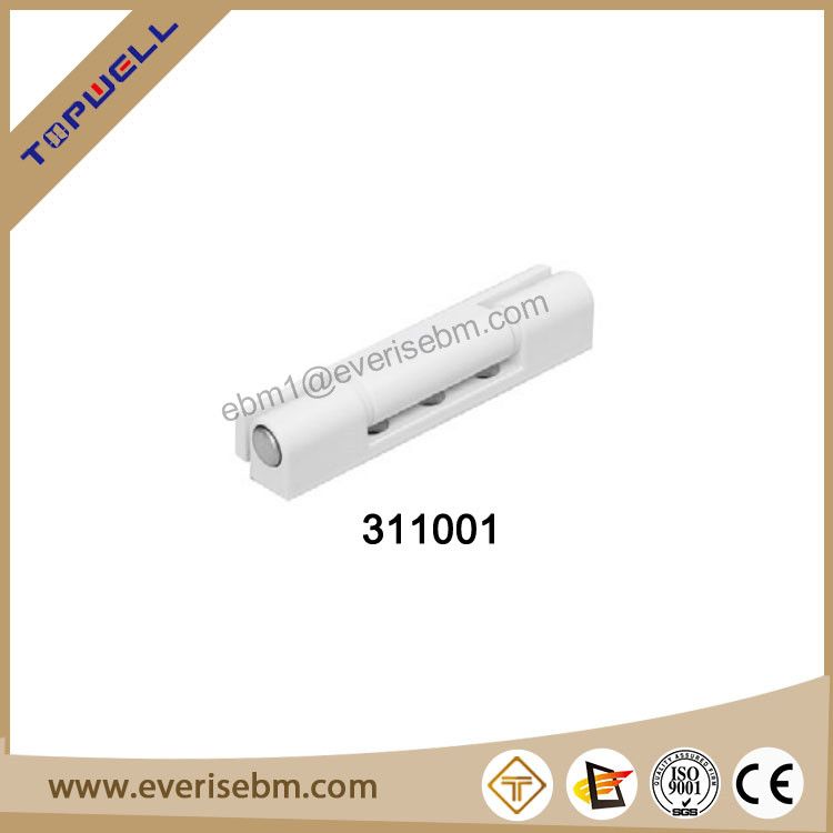 WINDOW AND DOOR HINGE