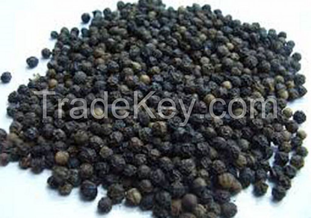 Black, Green Mung Bean wholesale