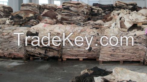 WET/DRY BLUE SALTED COW SKIN, WET/DRY SALTED DONKEY HIDES