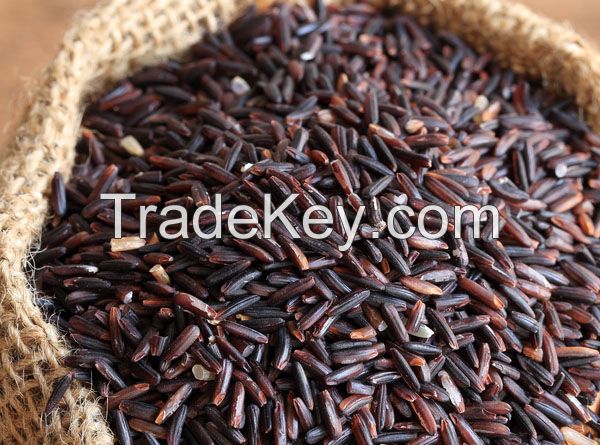 We have 50 tons of black rice non polish and organic