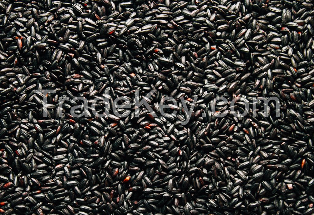 Black rice wholsesale