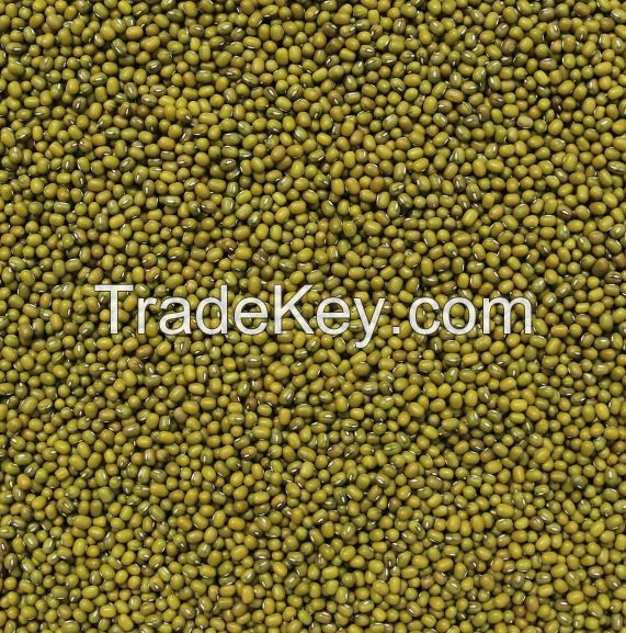 ORGANIC MUNG BEANS