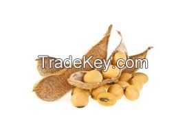 100% Pure Soy Bean Wholesale