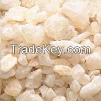 Gum Copal for sale, Exporter