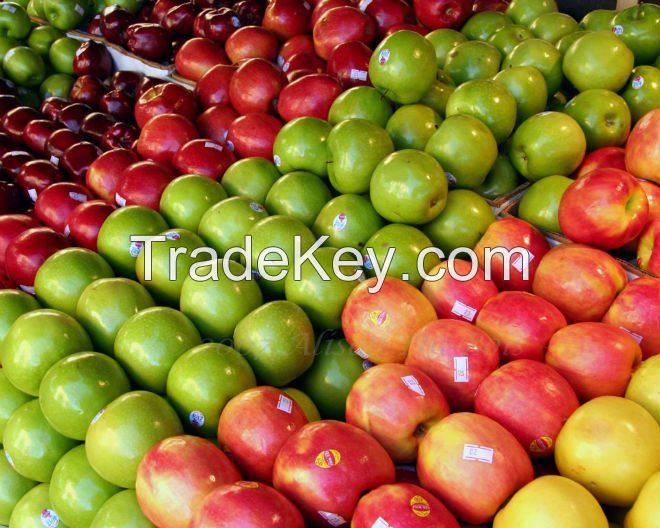sale fresh apples from south africa