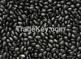 TTN Haricot Bean Black Kidney Beans Soya Bean