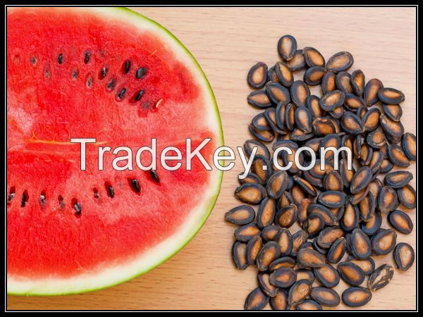 WATER MELON SEEDS / WHITE WATER MELON SEEDS / RED WATER MELON SEEDS