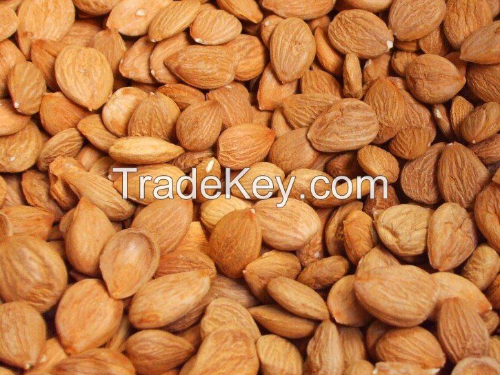 apricot kernel Around 99.95 %Purity