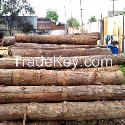 Timber Wood Logs for Sale