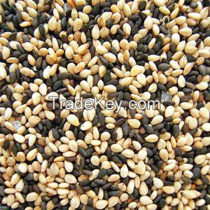 White and black Roasted Sesame Seeds Not Peeled Premium Quality Food Organic