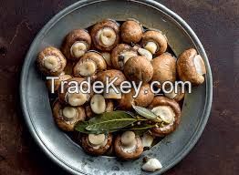 Export grade A fresh and dried mushroom