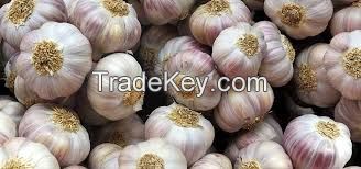 2018  Wholesale Garlic Price - new crop, hot sales