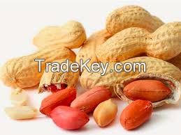 2018 Natural peanuts/ groundnut raw red, brown & white, peeled & unpeeled