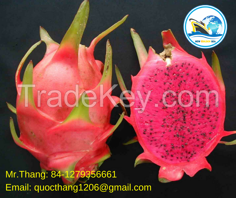 100% Fresh Dragon Fruit from Vietnam - Red/White Flesh Dragon Fruit