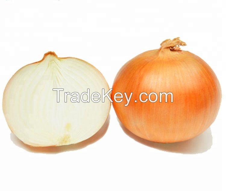 natural/cheap/high quality fresh yellow, white, red onion