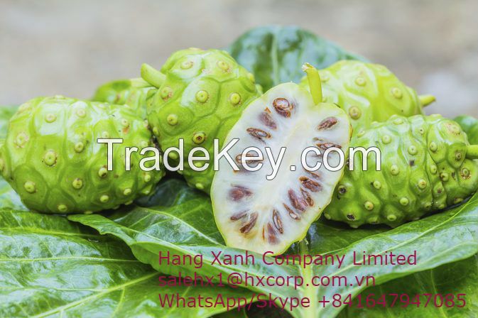 Noni Fruit From Vietnam