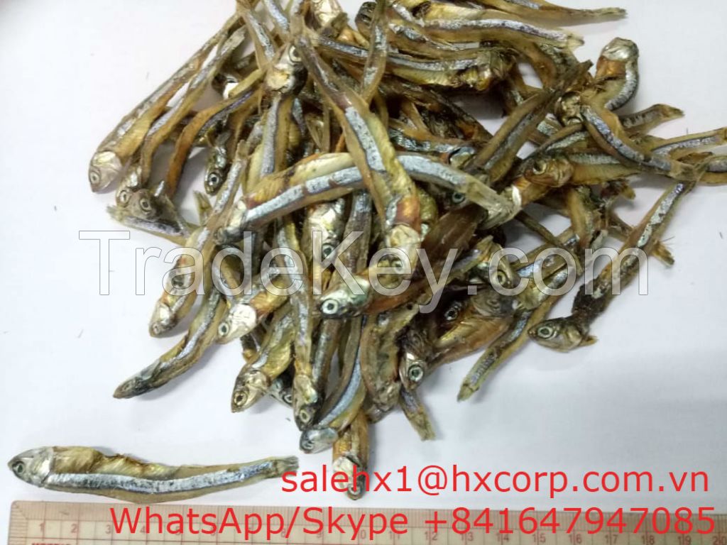 Dried Anchovies From Vietnam